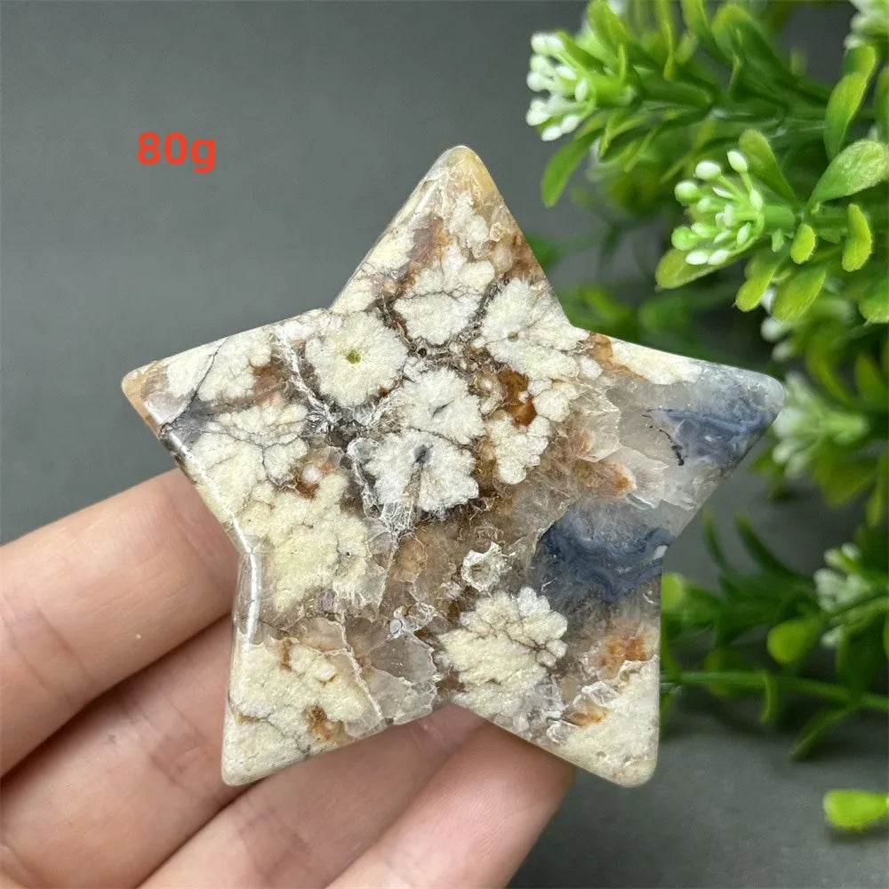 Black Cherry Blossom Agate-ToShay.org