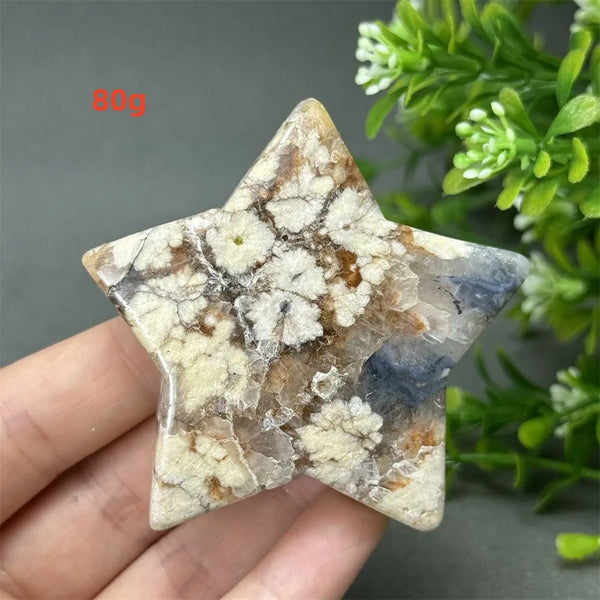 Black Cherry Blossom Agate-ToShay.org