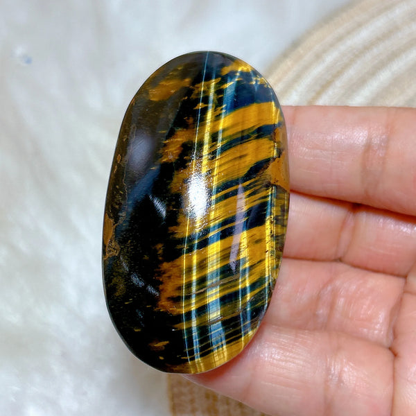 Blue Yellow Tiger Eye-ToShay.org