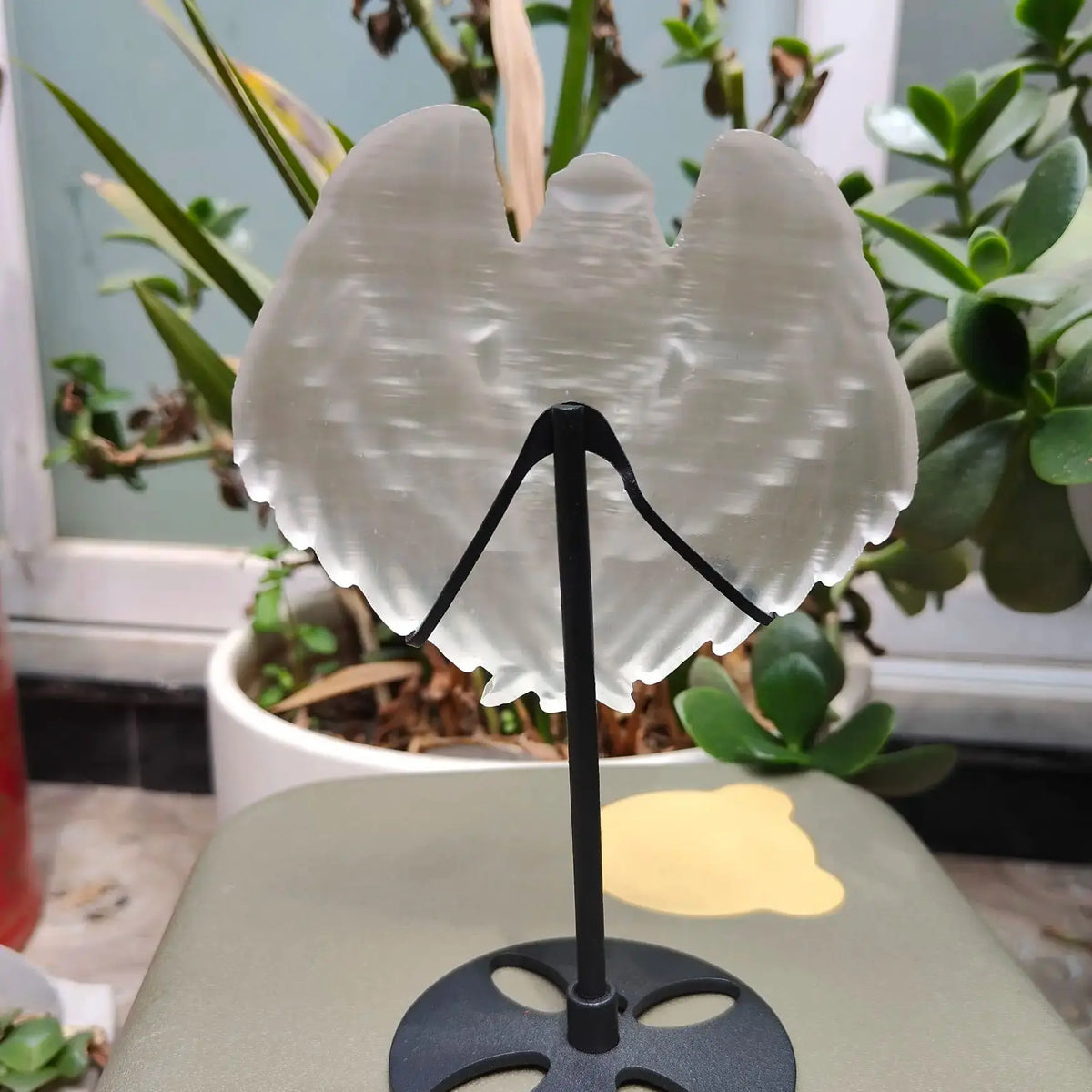 White Selenite Eagle-ToShay.org