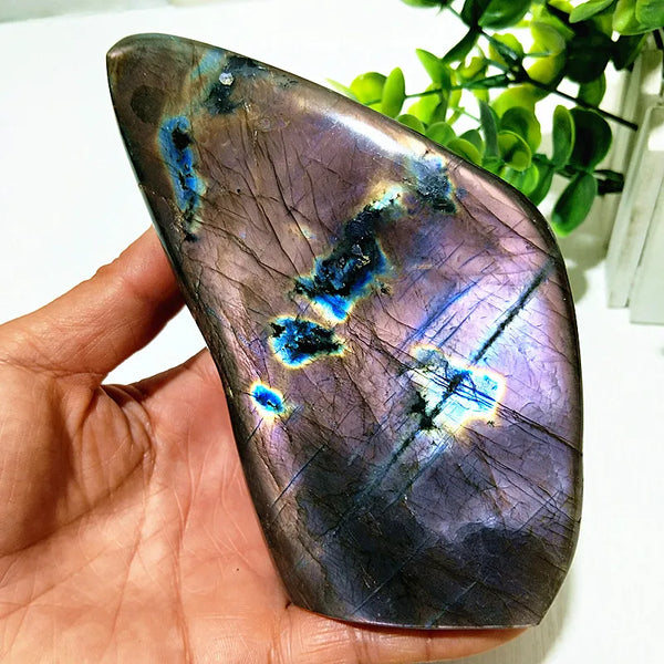 Violet Labradorite Crystal-ToShay.org