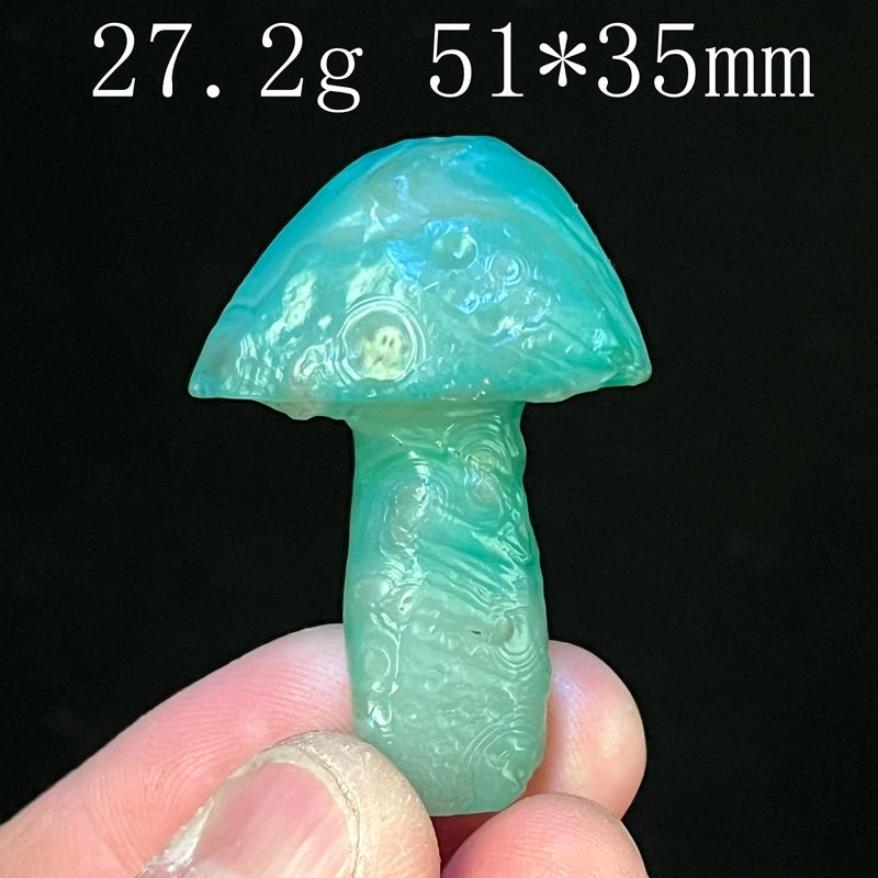 Mixed Gobi Eye Mushroom-ToShay.org