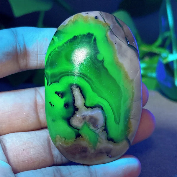 Fire Agate Palm Stone-ToShay.org