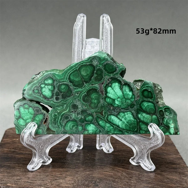 Green Malachite Raw Slice-ToShay.org