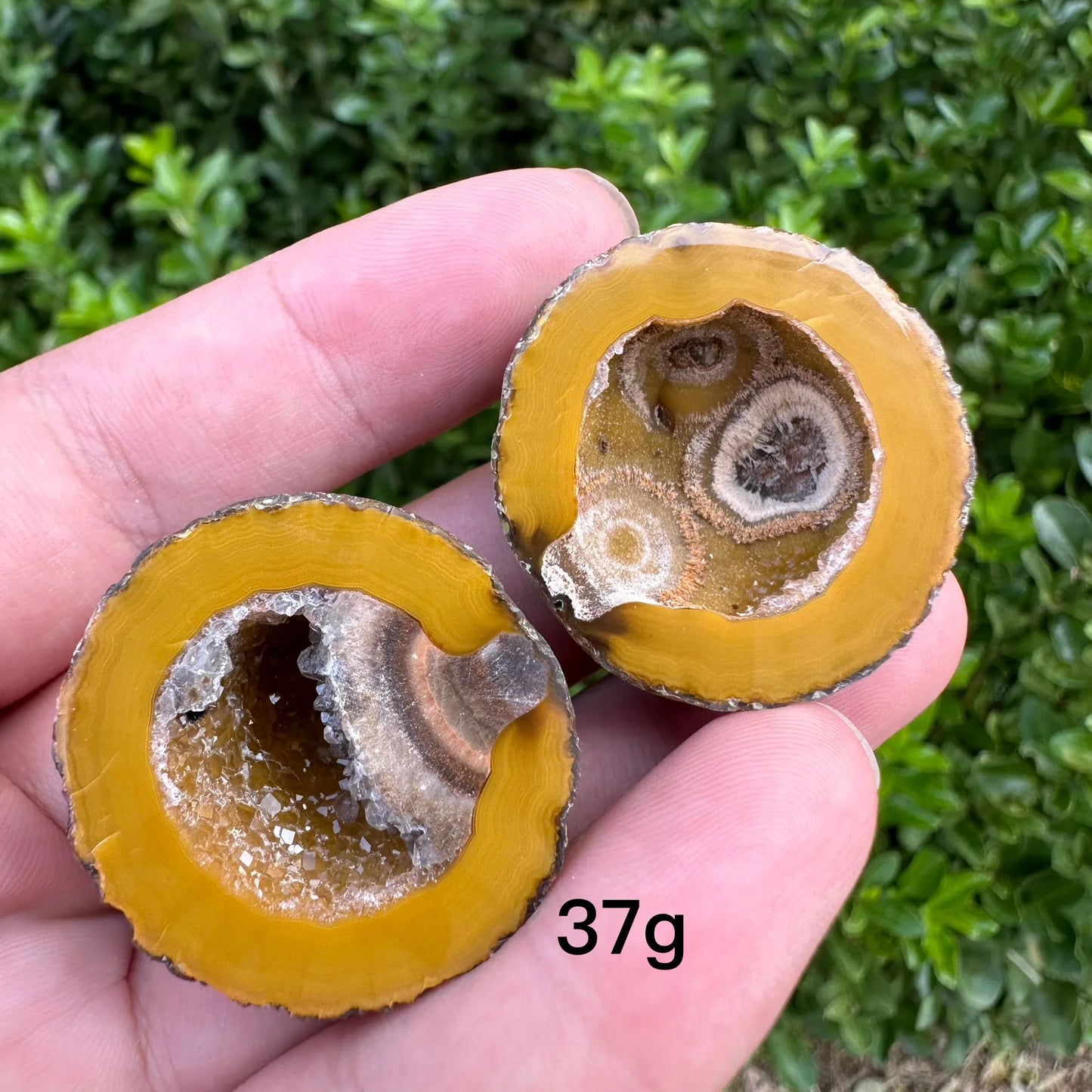 Mixed Agate Crystal Geode-ToShay.org
