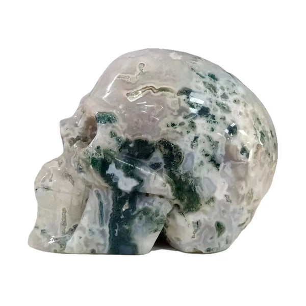 Mixed Crystal Skulls-ToShay.org