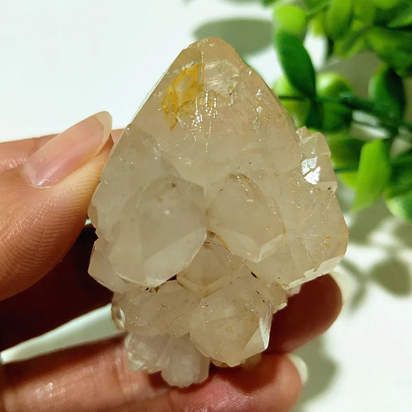 Yellow Mud Sparkling Clusters-ToShay.org