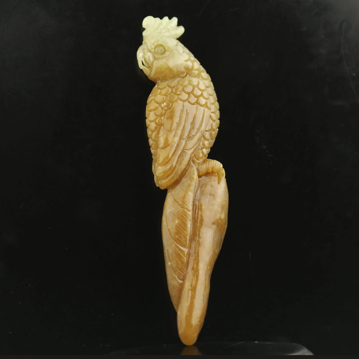 Yellow Jade Parrot-ToShay.org