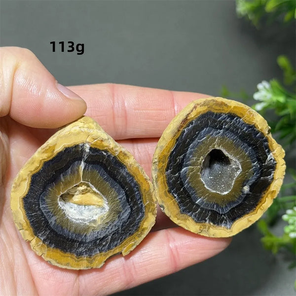 Mixed Agate Crystal Cave Egg-ToShay.org