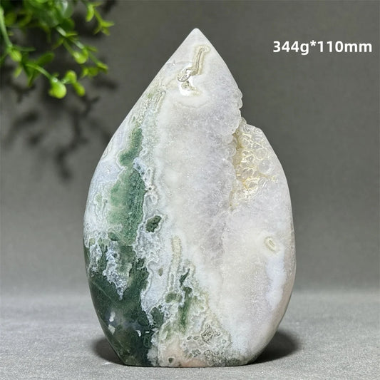 Green Aquatic Plant Agate-ToShay.org