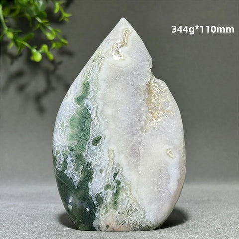 Green Aquatic Plant Agate-ToShay.org