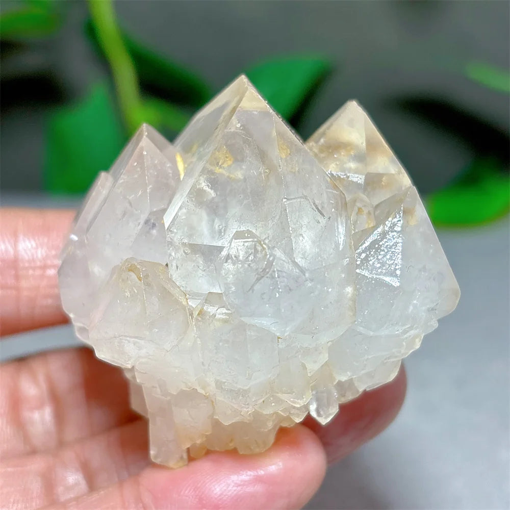 Clear Lotus Backbone Quartz Cluster-ToShay.org