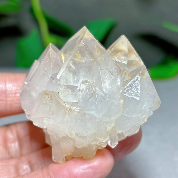 Clear Lotus Backbone Quartz Cluster-ToShay.org