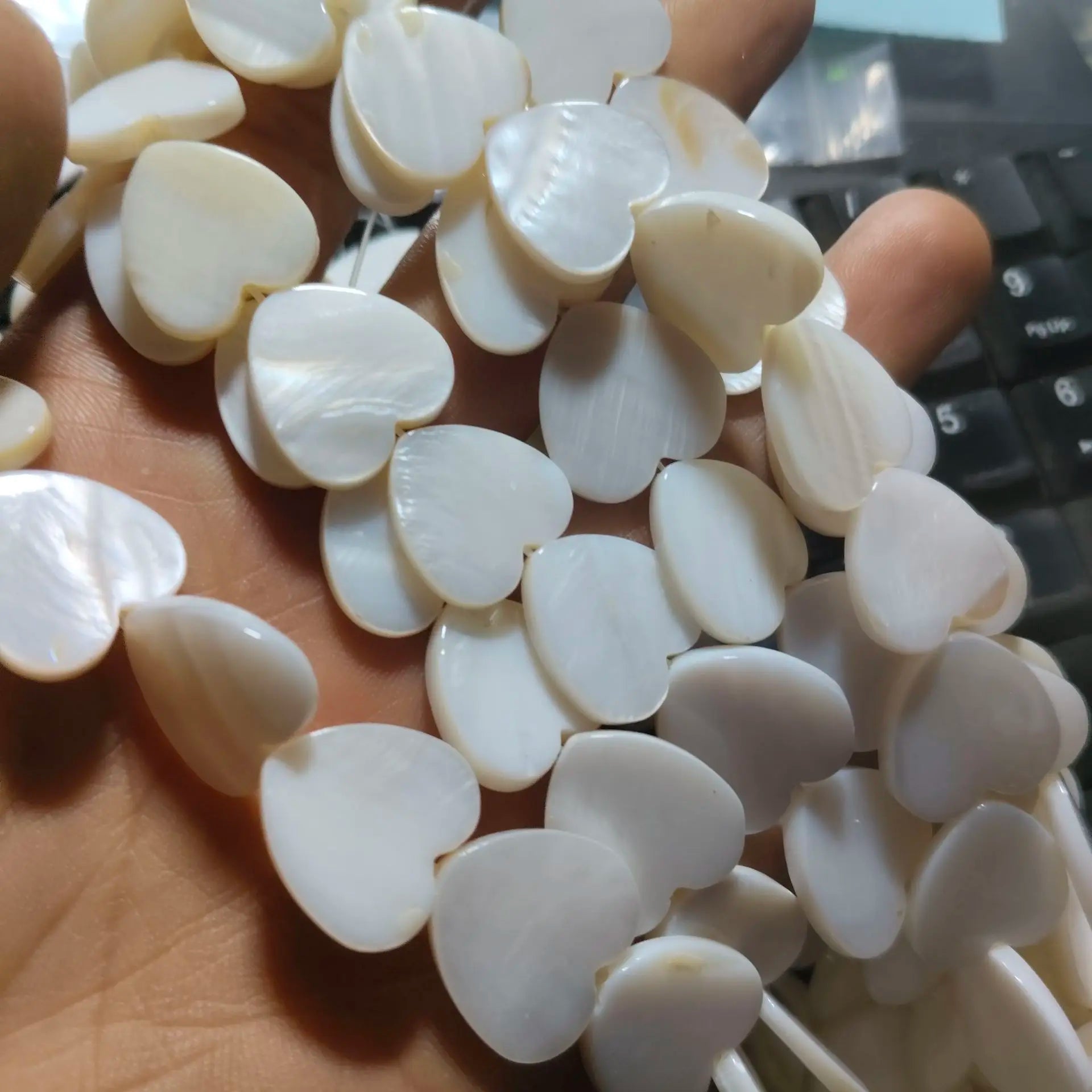 White Shell Beads-ToShay.org