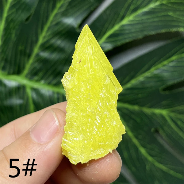 Yellow Sulfur Clusters-ToShay.org