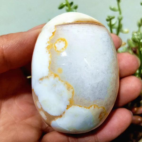 Mixed Lace Sardonyx Agate-ToShay.org