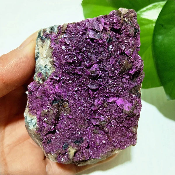 Pink Cobaltocalcite Raw Rock-ToShay.org
