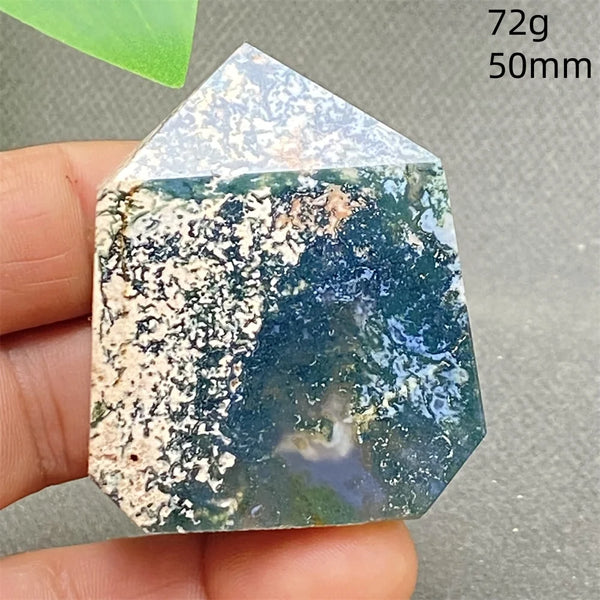 Green Water Plant Agate-ToShay.org