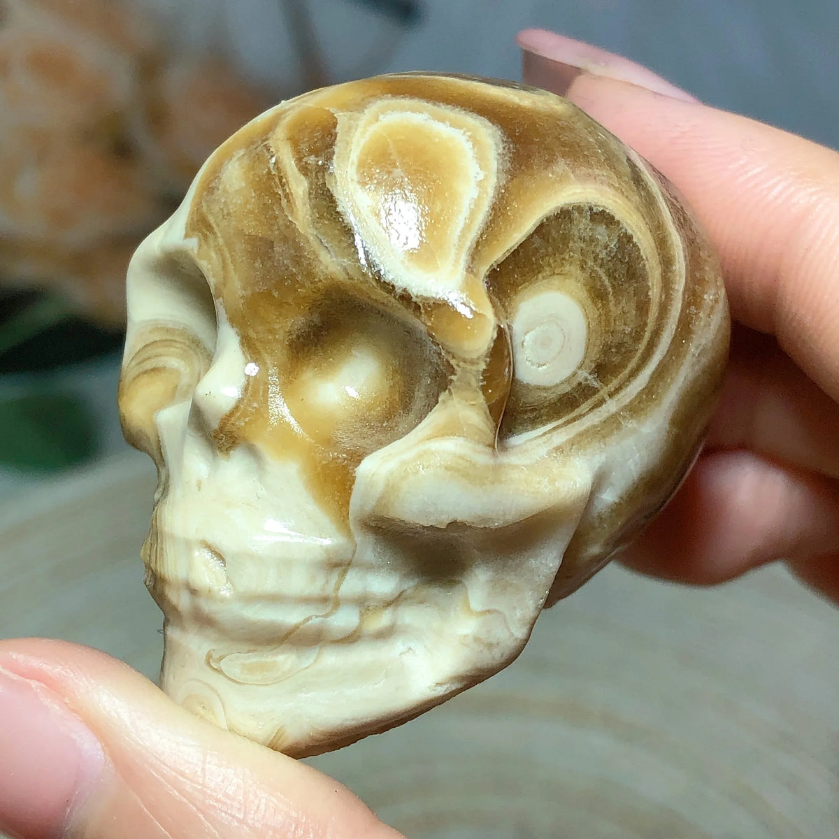 Brown Chocolate Calcite Skull-ToShay.org