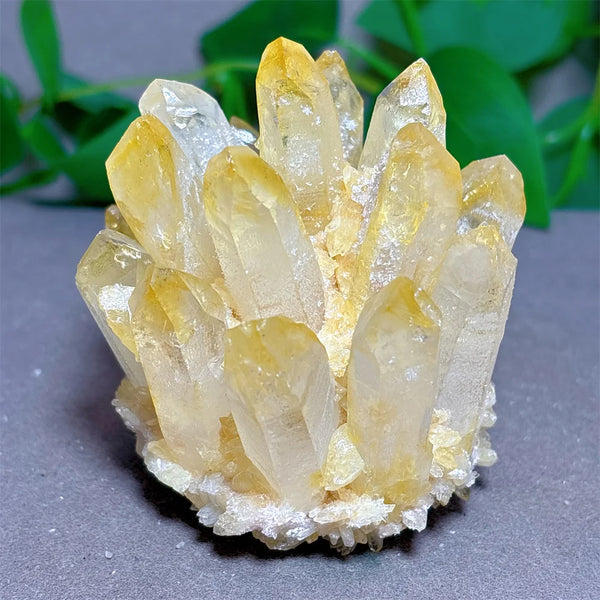 Yellow Citrine Crystal Cluster-ToShay.org