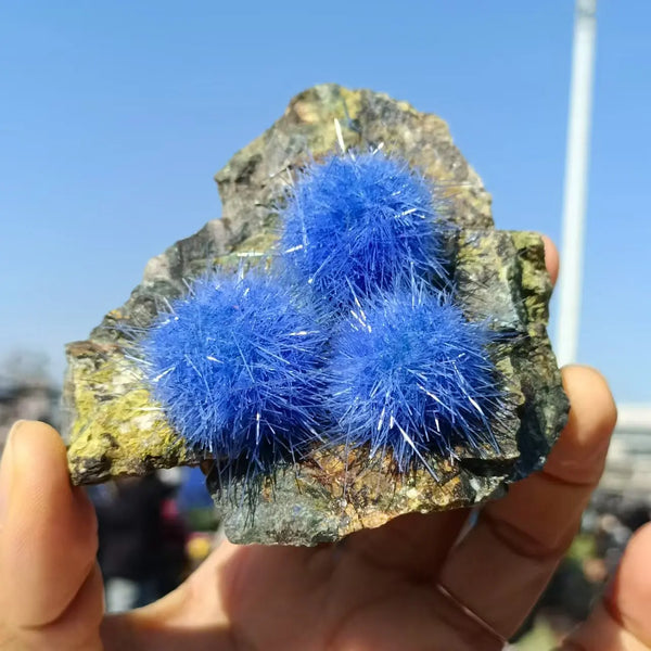 Blue Zeolite Azurite Clusters-ToShay.org