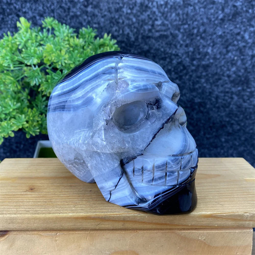 Black Agate Skull-ToShay.org