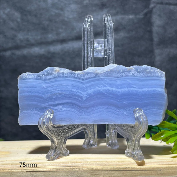 Blue Lace Agate Slice-ToShay.org