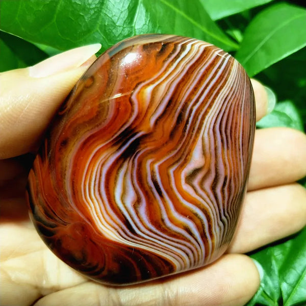 Red Sardonyx Agate-ToShay.org