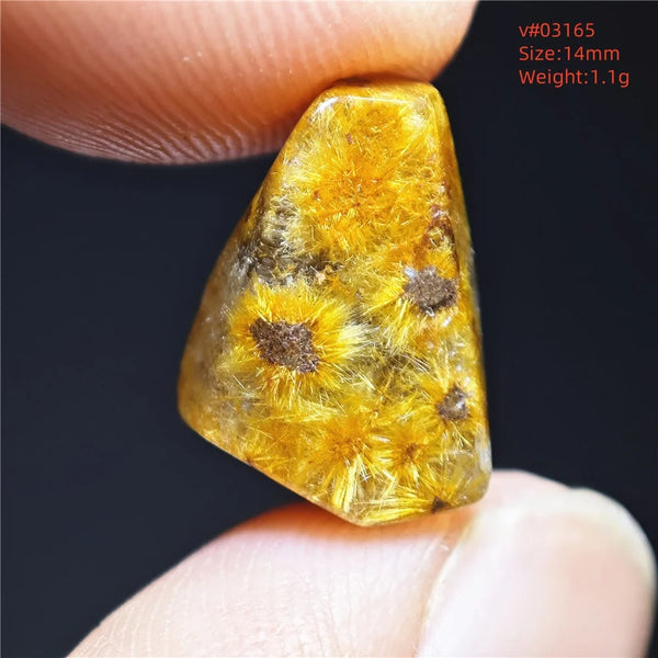 Gold Rutilated Quartz-ToShay.org