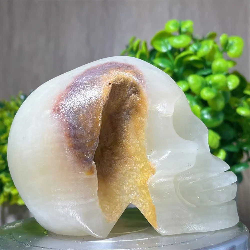 White Jade Skull-ToShay.org