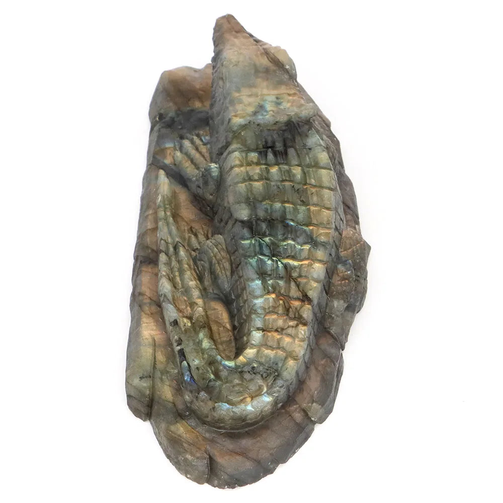 Blue Labradorite Crocodile-ToShay.org