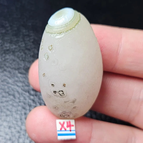 Mixed Gobi Alashan Agate-ToShay.org