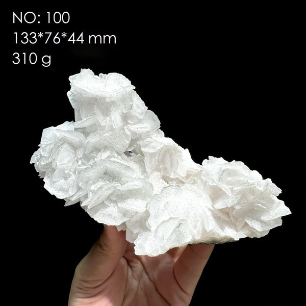 White Calcite Rose-ToShay.org