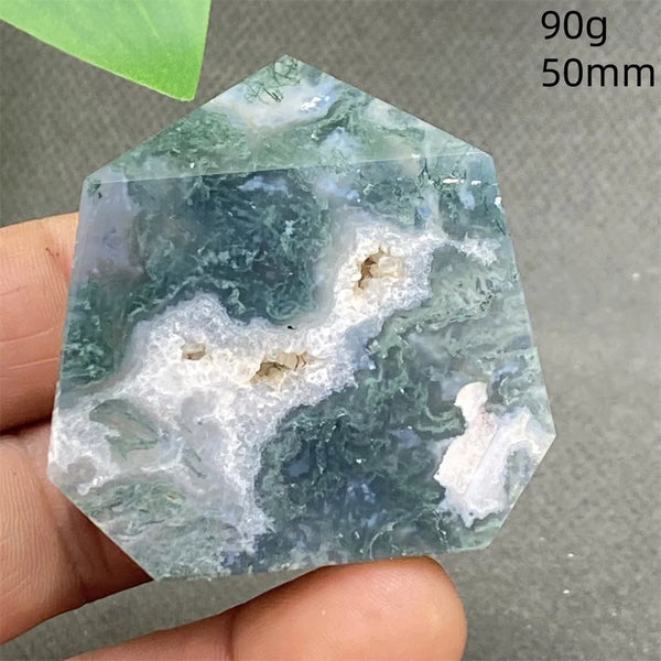Green Water Plant Agate-ToShay.org