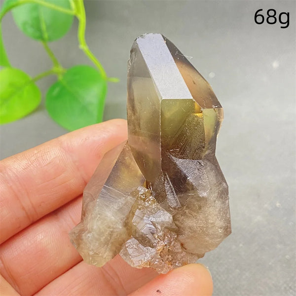 Yellow Black Smoky Quartz-ToShay.org