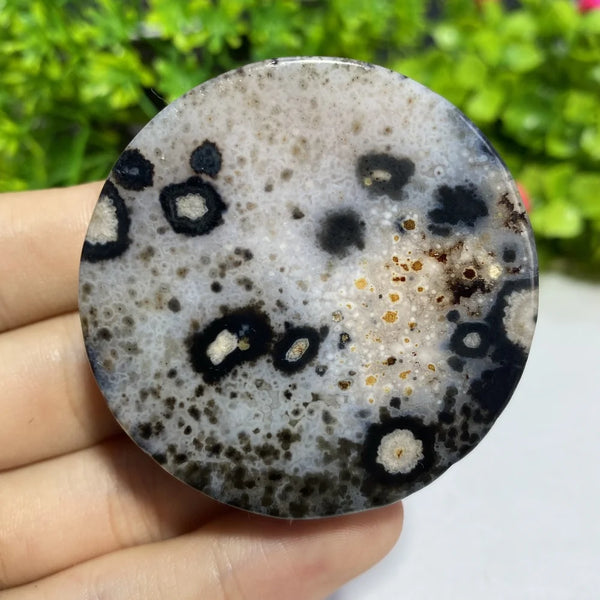 Black Agate Slice-ToShay.org