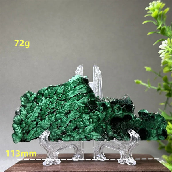 Green Malachite Slice-ToShay.org