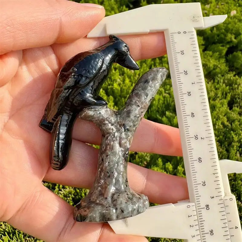 Black Obsidian Woodpecker-ToShay.org