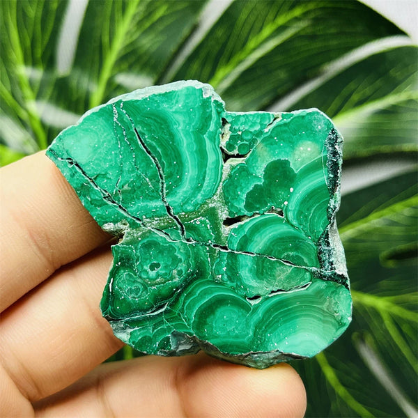 Green Eyes Malachite-ToShay.org
