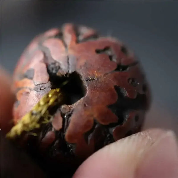 Tibetan Rudraksha Bodhi Beads-ToShay.org