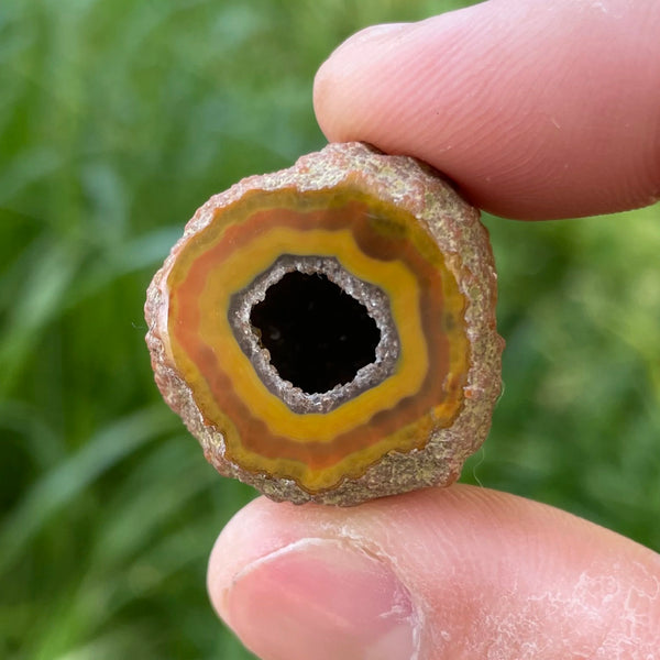 Yellow Agate Geode Egg-ToShay.org