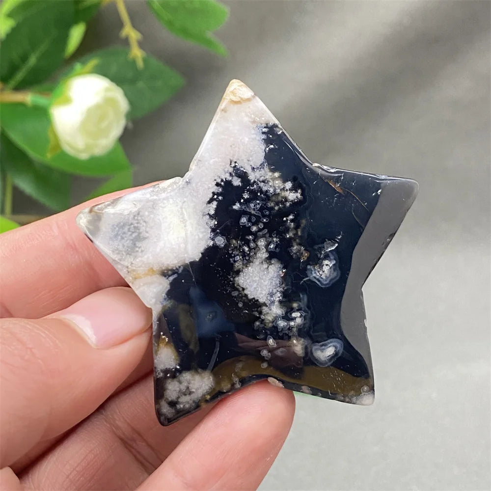Black Cherry Blossom Agate-ToShay.org