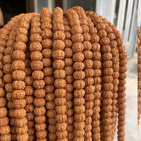 Brown Dragon Lotus Seed Beads-ToShay.org