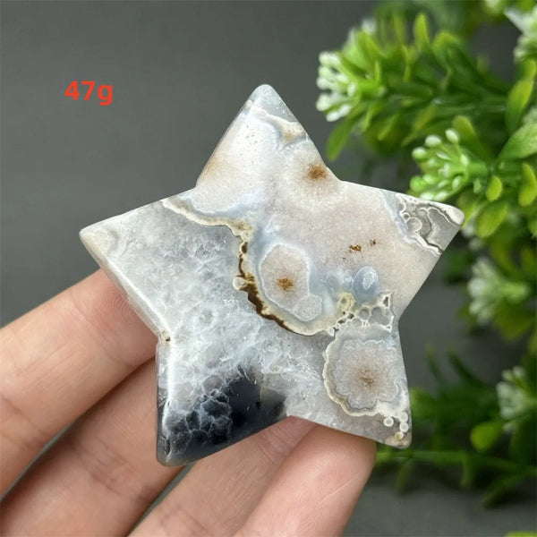 Black Cherry Blossom Agate-ToShay.org