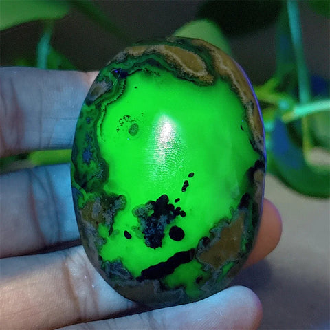 Fire Agate Palm Stone-ToShay.org