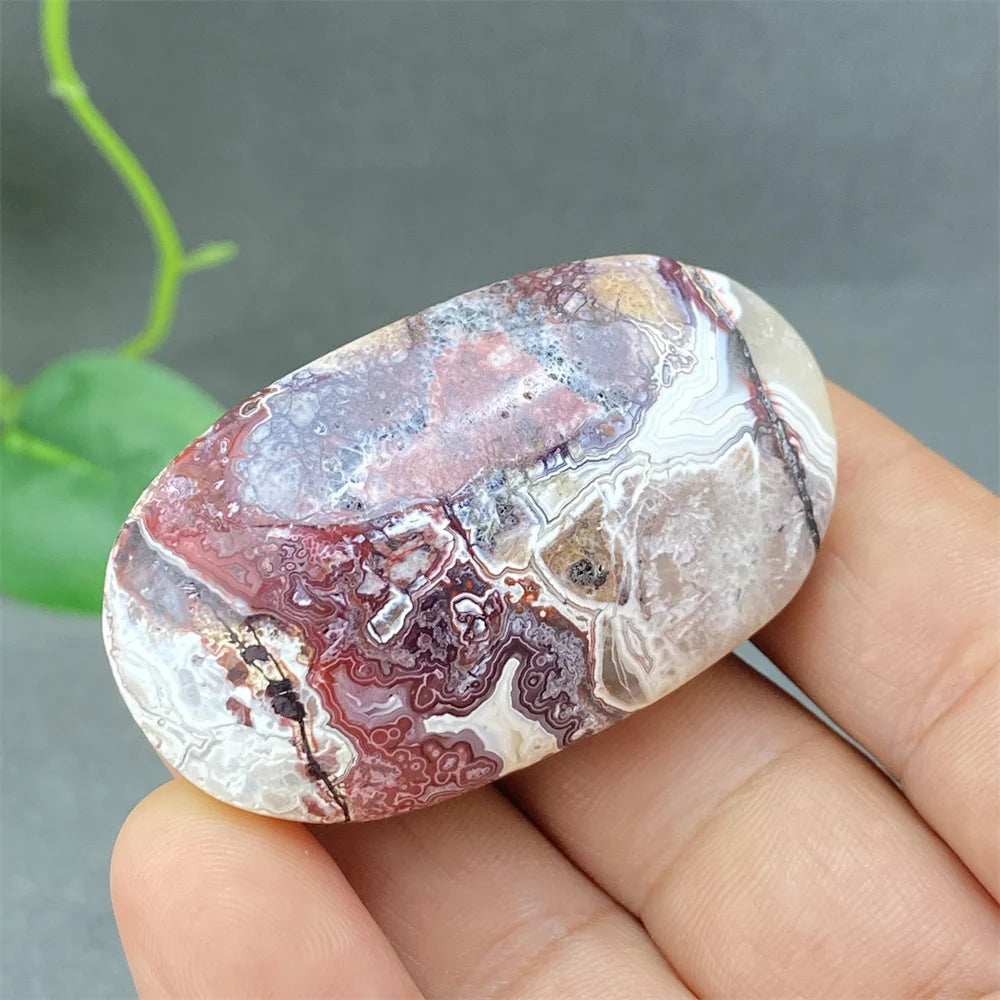 Red Lace Crazy Agate-ToShay.org