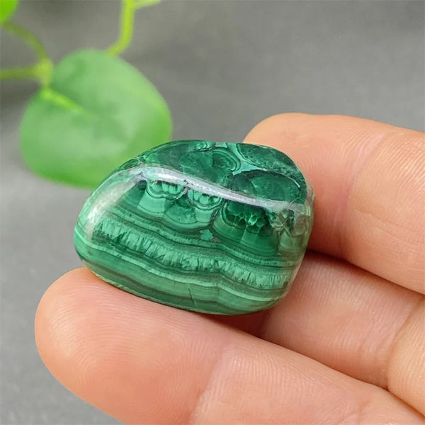 Green Malachite Tumbled Stone-ToShay.org