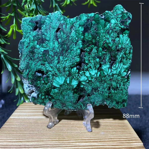 Green Malachite Slice-ToShay.org