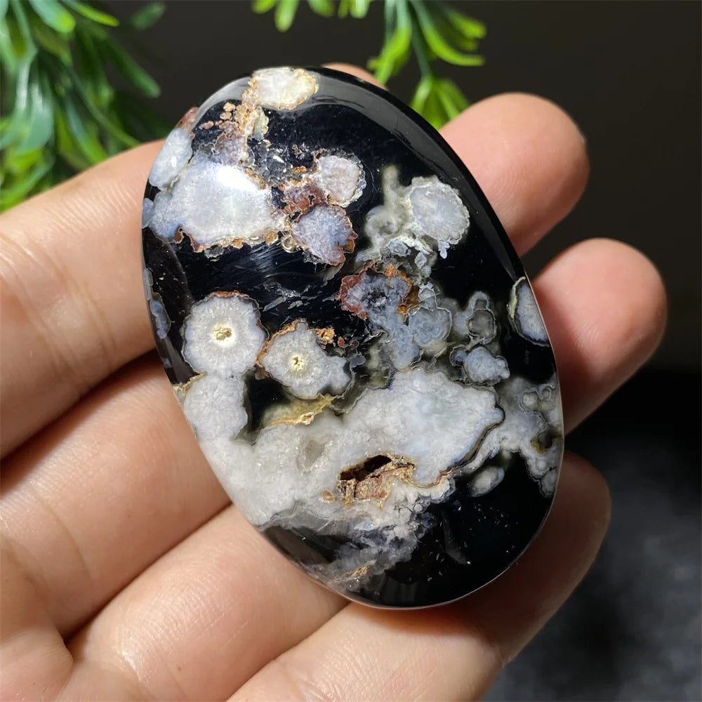 Black Flower Agate-ToShay.org