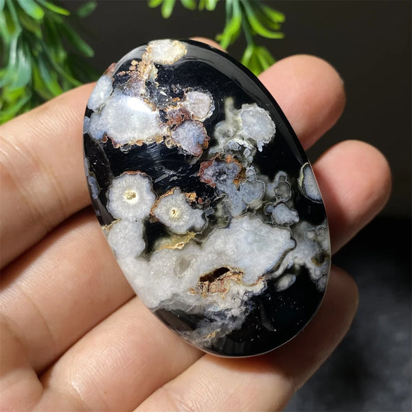 Black Flower Agate-ToShay.org